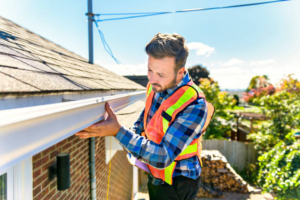 Best Roof Moss and Algae Removal  in North Apollo, PA